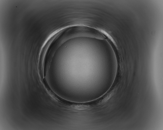 X0000084541077200703021438