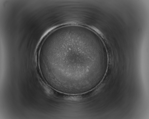 X0000084541078200703021438