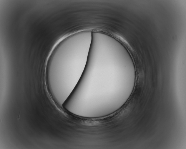 X0000084541079200703021438