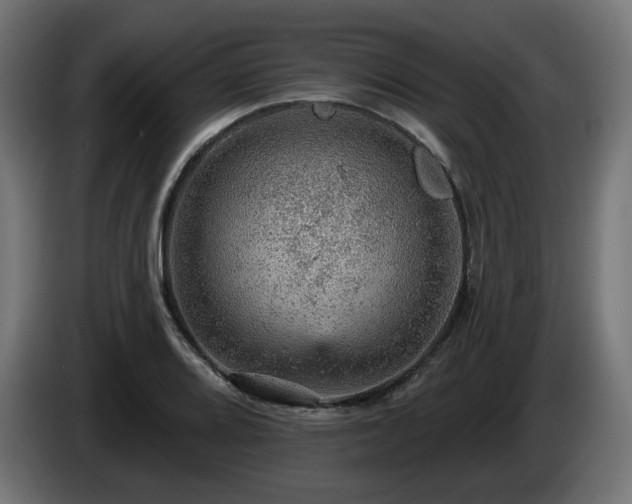 X0000084541080200703021438