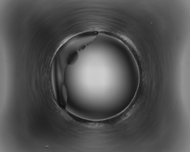 X0000084541081200703021438