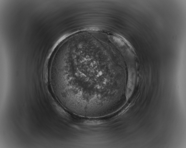 X0000084541083200703021438