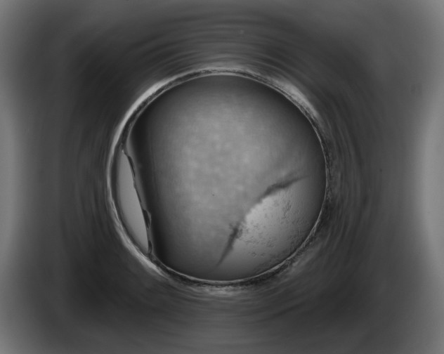 X0000084541084200703021438