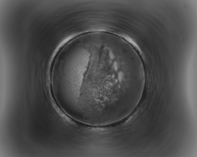 X0000084541088200703021438