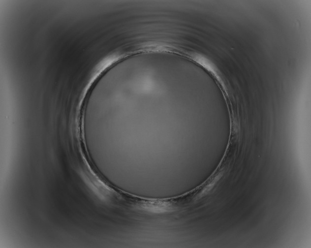 X0000084541090200703021438