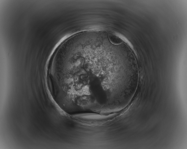 X0000084541091200703021438