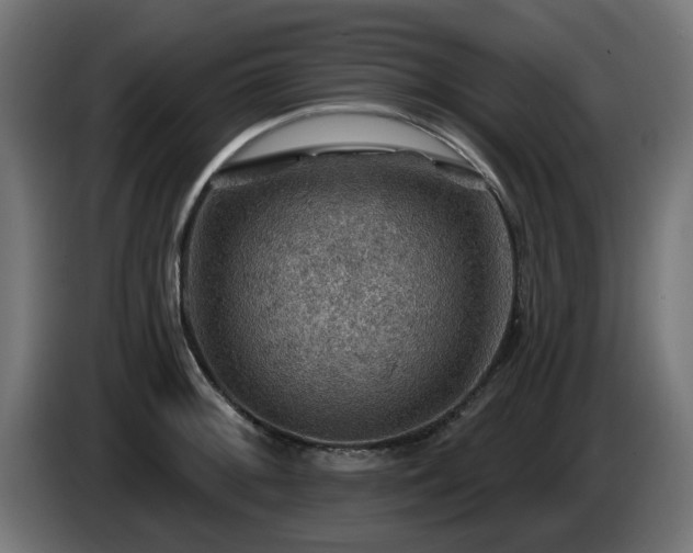 X0000084541092200703021438