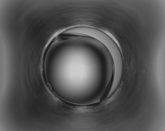 X0000084541093200703021438