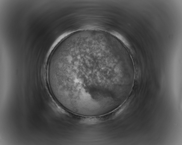 X0000084541094200703021438