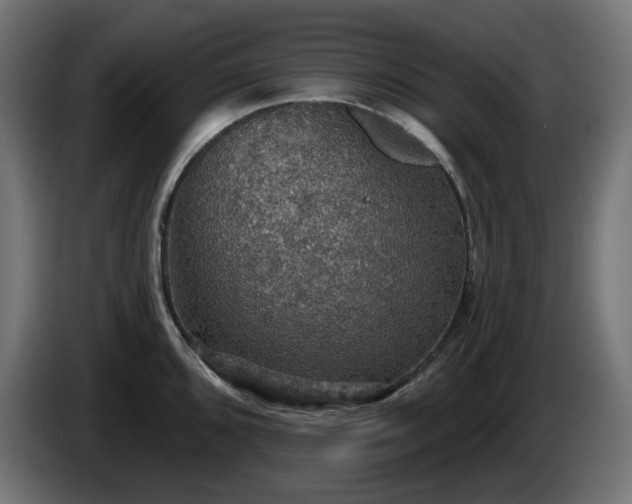 X0000084541096200703021438