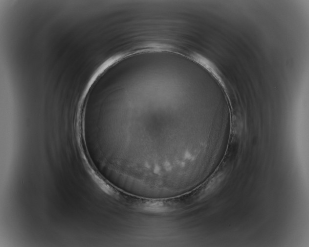 X0000084541098200703021438