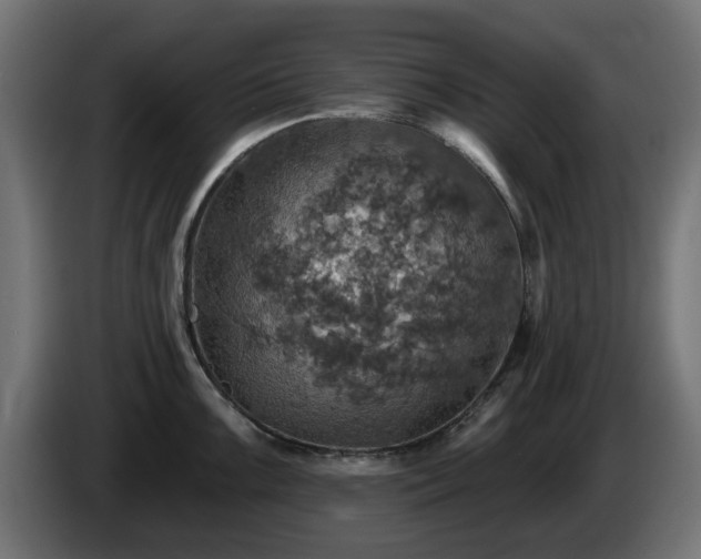 X0000084541099200703021438