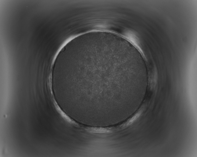 X0000084541100200703021438
