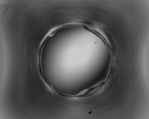 X0000084541101200703021438
