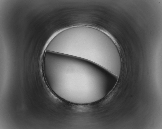 X0000084541102200703021438