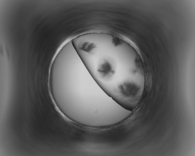 X0000084541103200703021438