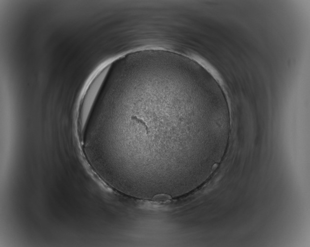 X0000084541104200703021438