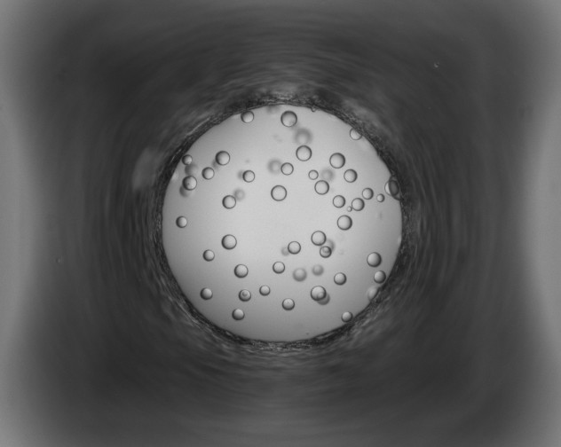 X0000084541105200703021437