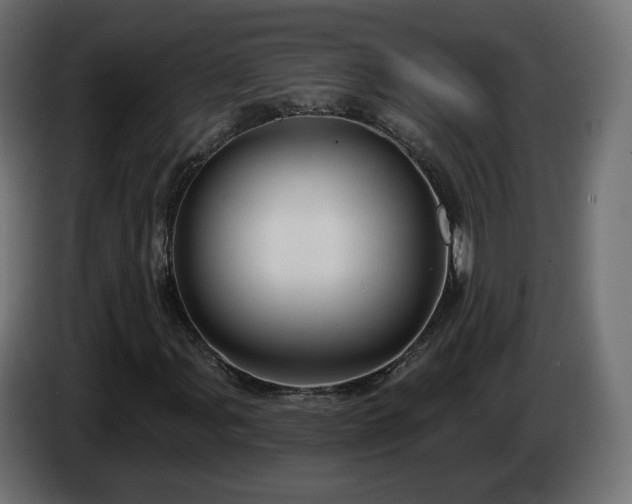 X0000084541107200703021437