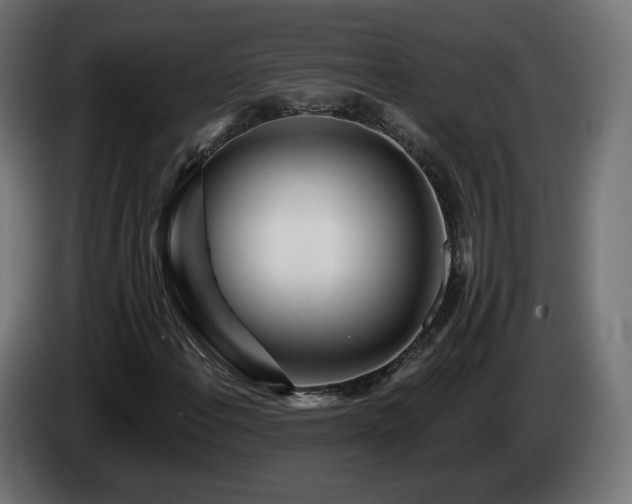 X0000084541108200703021437