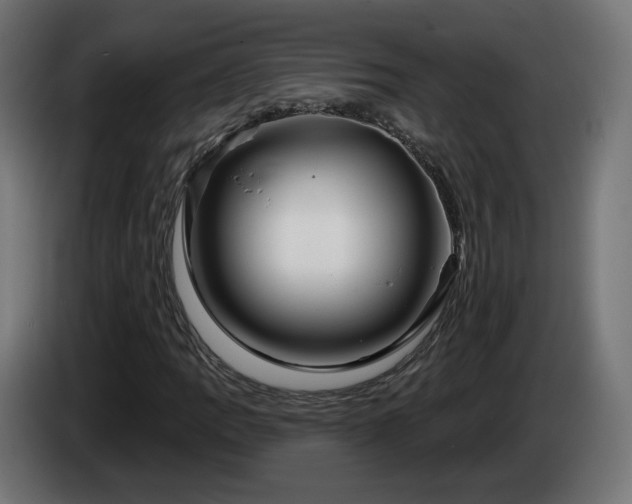 X0000084541109200703021437