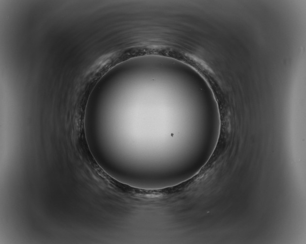 X0000084541110200703021437