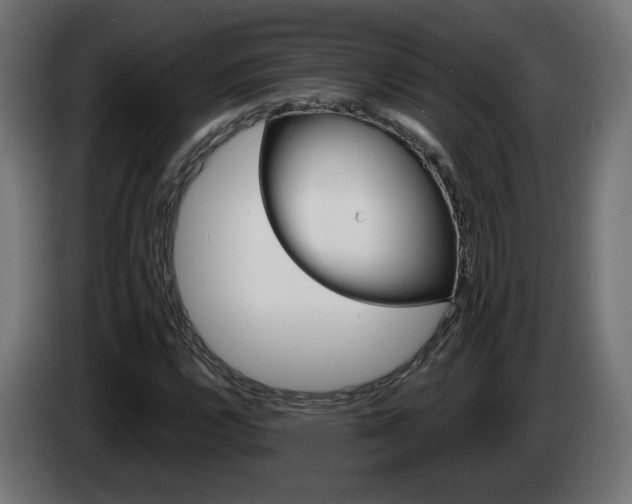 X0000084541112200703021437