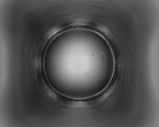 X0000084541113200703021437