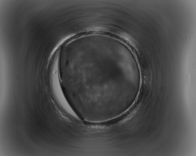 X0000084541117200703021437
