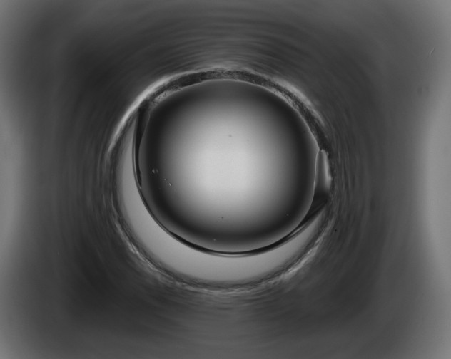 X0000084541118200703021437