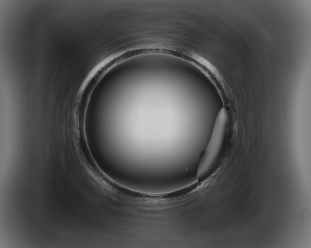 X0000084541120200703021437
