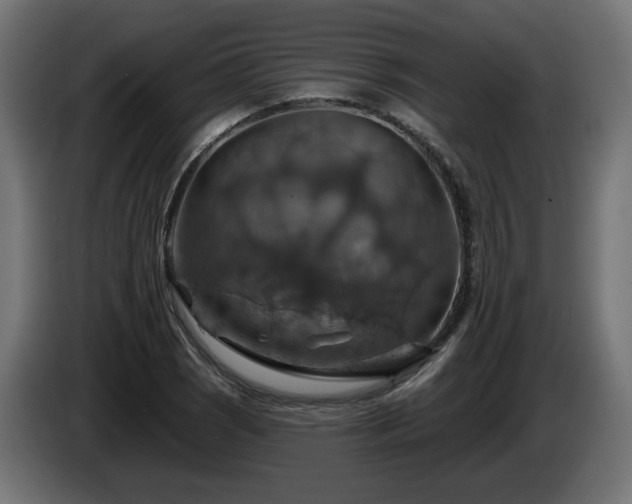 X0000084541121200703021437