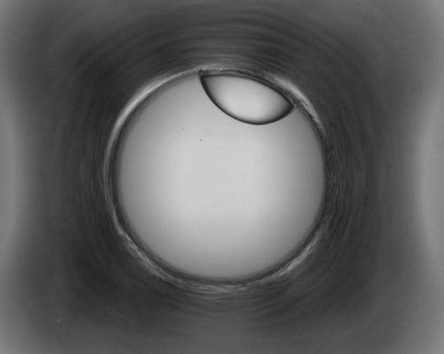 X0000084541122200703021437