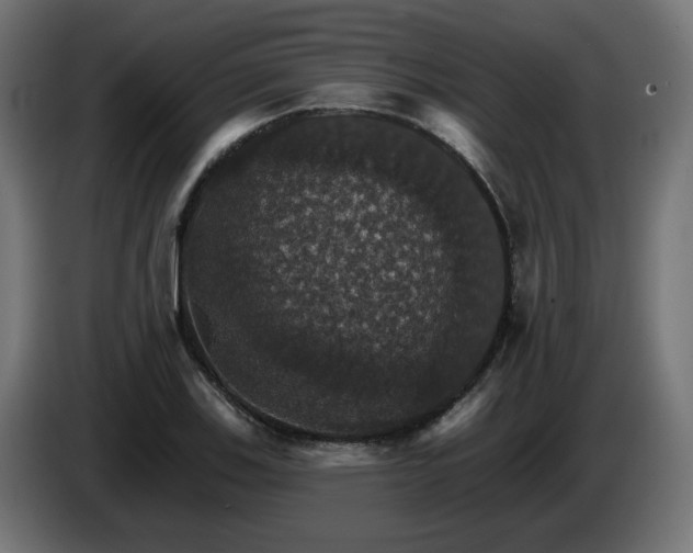 X0000084541123200703021437