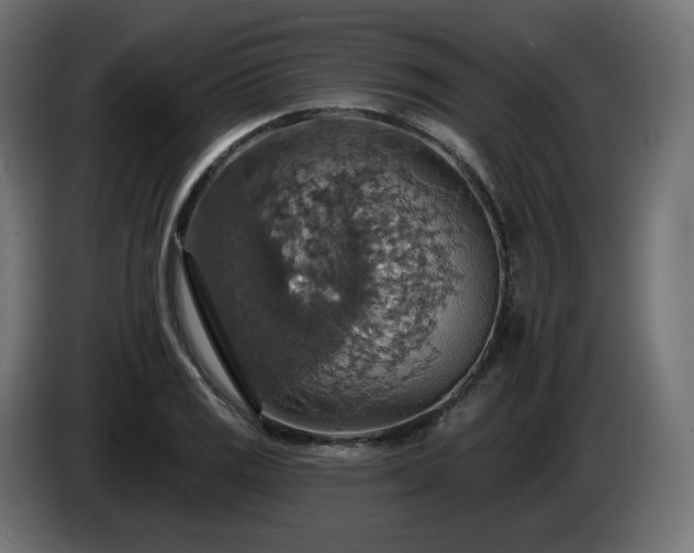 X0000084541125200703021437