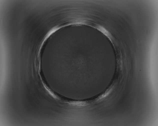 X0000084541127200703021437