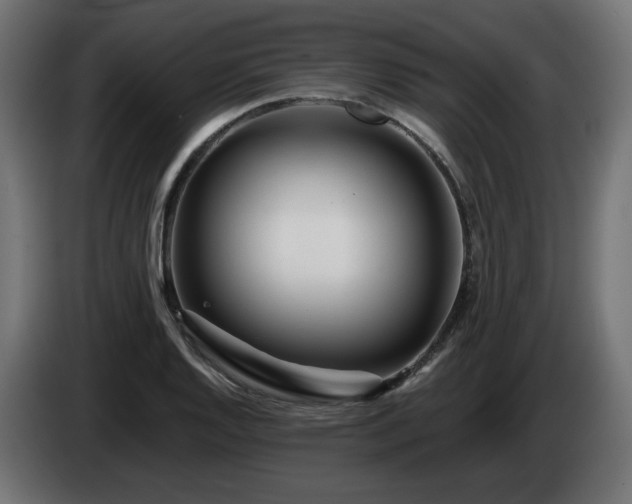 X0000084541128200703021437