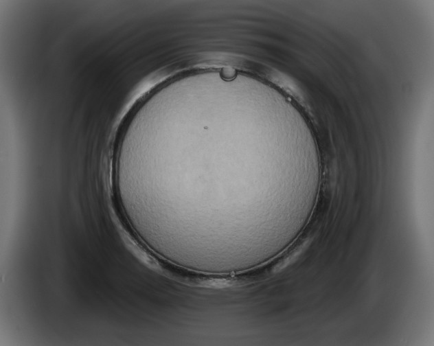 X0000084541130200703021437