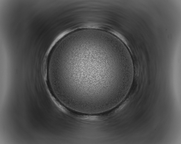 X0000084541131200703021437
