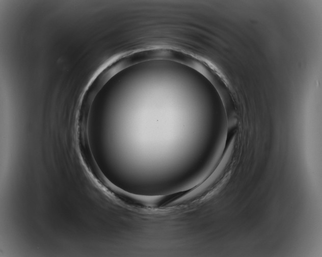 X0000084541134200703021438