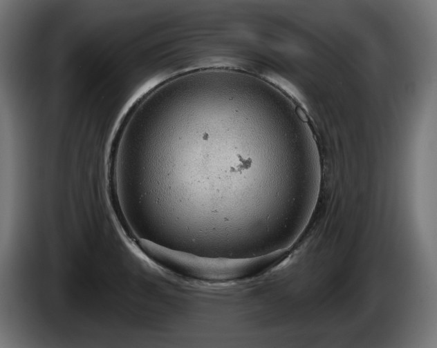 X0000084541135200703021438