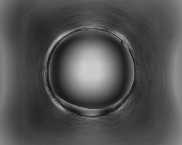 X0000084541136200703021438