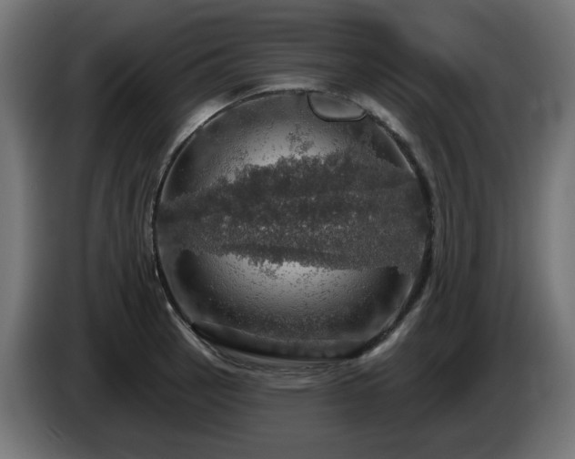 X0000084541137200703021438