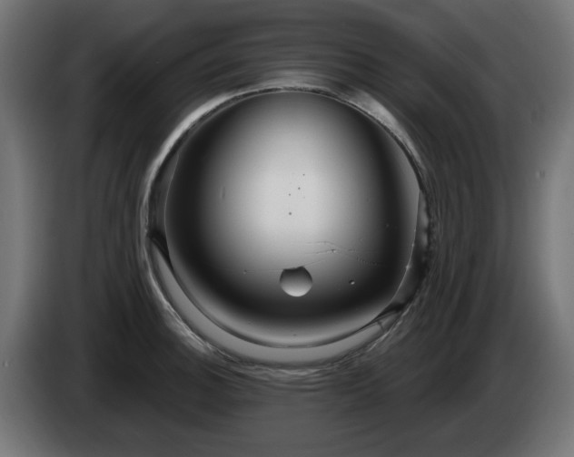 X0000084541140200703021438