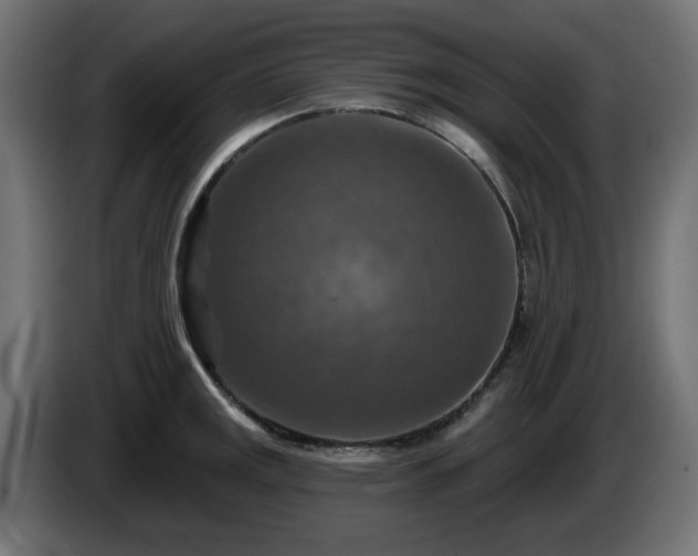 X0000084541141200703021438