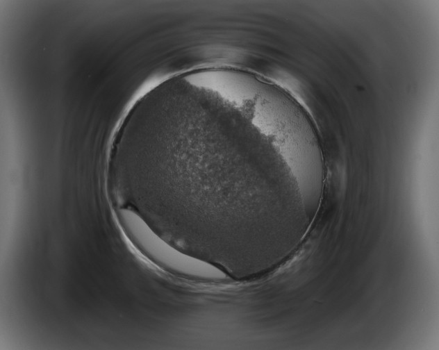 X0000084541143200703021438