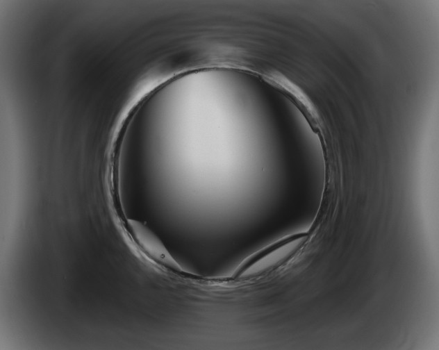 X0000084541144200703021438