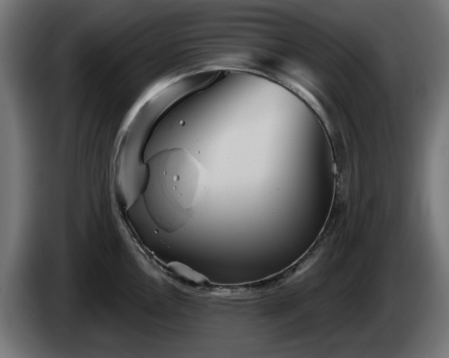 X0000084541146200703021438