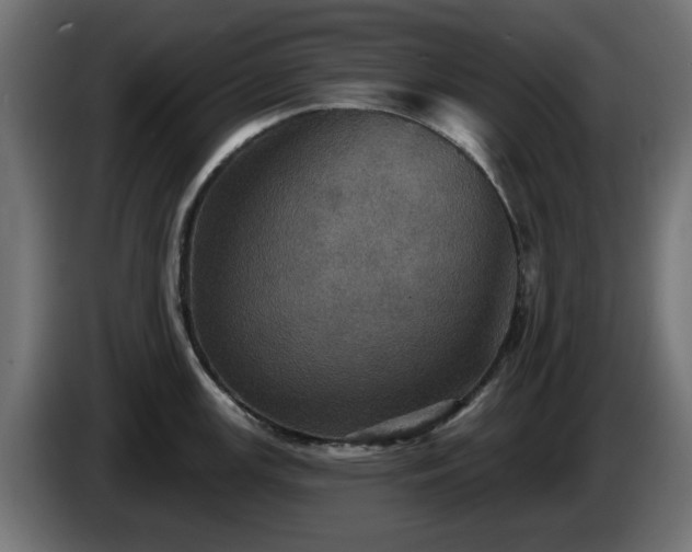 X0000084541147200703021438