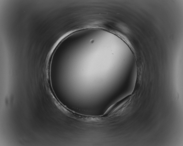X0000084541148200703021438